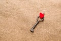 One Vintage key and a red heart on old cloth Royalty Free Stock Photo