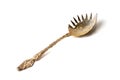 One vintage salad clove spoon isolated on a white background a