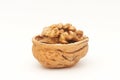 One walnut Royalty Free Stock Photo