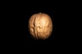 One walnut on dark background