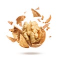 One walnut flies in the air Royalty Free Stock Photo