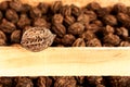 One walnut in foreground against the background of numerous wild walnuts Royalty Free Stock Photo