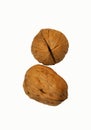 One walnut in an open form lies on a white background. Closely visible partitions inside and the nut itself. Royalty Free Stock Photo