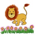 Lion cute cartoon isolated concept