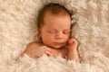 One week old baby on white blanket