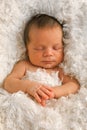 One week old baby on white blanket