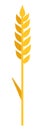 Wheat spike vector flat isolated