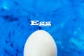 One white chicken egg on a blue abstract background backdrop. Cover concept. Copy space.