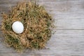 One white chicken egg is lying in the hay on a blurry wooden background. Selective focus. Space for lettering and design Royalty Free Stock Photo