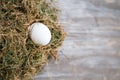 One white chicken egg is lying in the hay on a blurry wooden background. Selective focus. Space for lettering and design Royalty Free Stock Photo