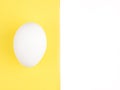 One white chicken egg on a yellow and white background Royalty Free Stock Photo