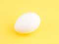 One white chicken egg on a yellow background Royalty Free Stock Photo