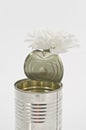 One white chrysanthemum in a tin old can over white. Concept still life. Royalty Free Stock Photo