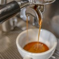 One white cup of espresso in the coffee maker. Making coffee on a professional coffee machine in a coffee shop Royalty Free Stock Photo