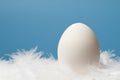 One white egg with blue background