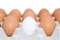 One white egg in cardboard Royalty Free Stock Photo