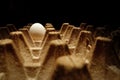 One white egg on the egg cartons , single object , copy space with dark background Royalty Free Stock Photo