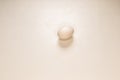 One white egg isolated on White Background Royalty Free Stock Photo