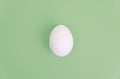 One white egg on pastel green background.