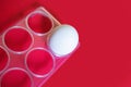 One white egg in a plastic container on a red background Royalty Free Stock Photo