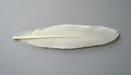 One white feather on a light gray background, close-up Royalty Free Stock Photo