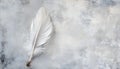 One white feather on a light gray background, close-up Royalty Free Stock Photo