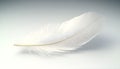 One white feather on a light gray background, close-up Royalty Free Stock Photo