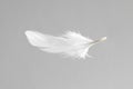 One white feather on light grey background Royalty Free Stock Photo