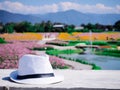 One white hat with Colorful Cosmos field blue background