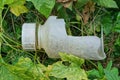 One white old dirty broken bottle lies among the green leaves of wild plants Royalty Free Stock Photo