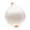 One white onion bulb