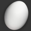 One White Organic Egg Isolated On Black Royalty Free Stock Photo