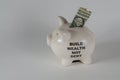 One white piggy moneybox with one dollar bill