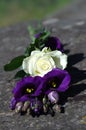 White rose and purple desert lilies or also called prairie bell on stone. Royalty Free Stock Photo