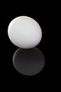 White shell eggs isolated on black background Royalty Free Stock Photo