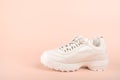 One White sneaker isolated on pastel background. Clean new trendy sneaker on pink background. sport shoes concept Royalty Free Stock Photo