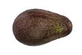 One whole avocado isolated on white background Royalty Free Stock Photo