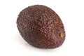 One whole avocado isolated on white background Royalty Free Stock Photo