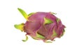 One whole dragon fruit isolated on white background. Royalty Free Stock Photo