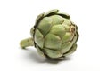 One whole fresh artichoke Royalty Free Stock Photo