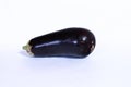 One whole fresh eggplant on a white background Royalty Free Stock Photo