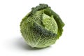 One whole fresh green Savoy cabbage Royalty Free Stock Photo