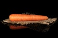 Fresh orange carrot isolated on black glass Royalty Free Stock Photo