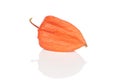 Fresh orange physalis isolated on white Royalty Free Stock Photo