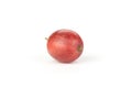 Fresh raw red gooseberry isolated on white Royalty Free Stock Photo