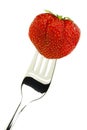 One whole fresh strawberry on a fork Royalty Free Stock Photo