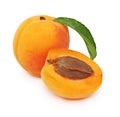 One whole and a half of apricot with green leaf (isolated)