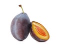 One whole and a half ripe plum (isolated)