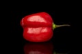 Hot chili habanero isolated on black glass