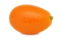 One whole kumquat (isolated)